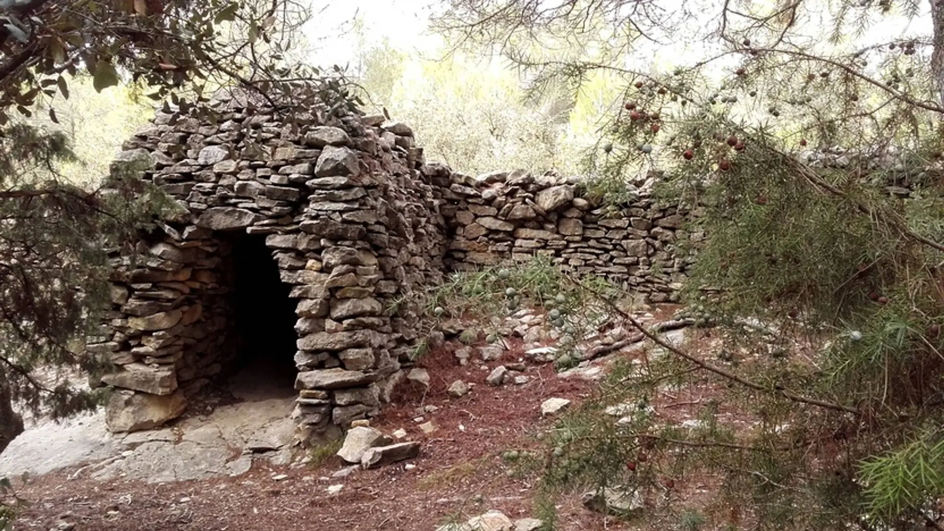 Abris le long du mur de la peste