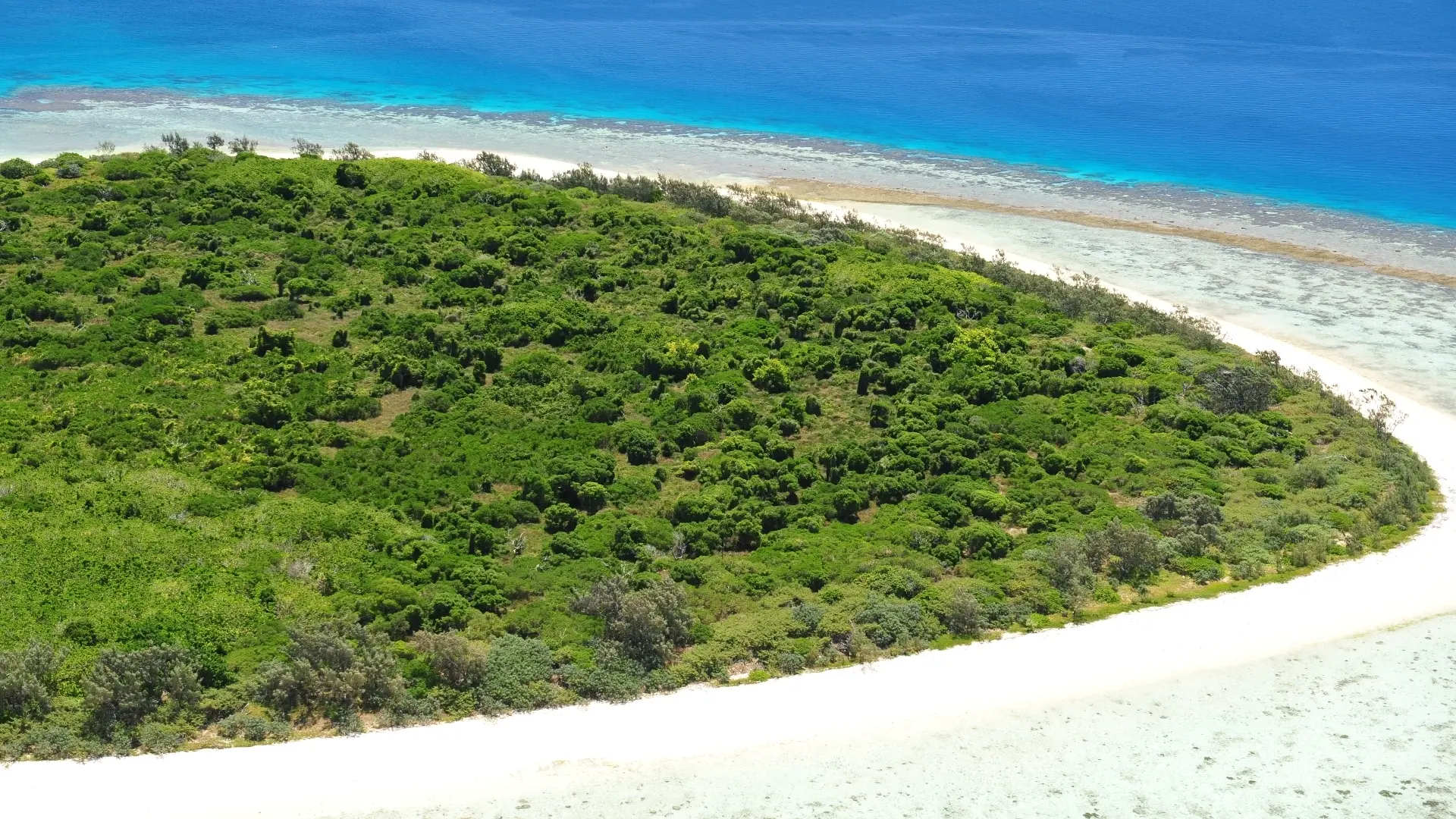 Détendez-vous sur le sable blanc de l'îlot Rédika