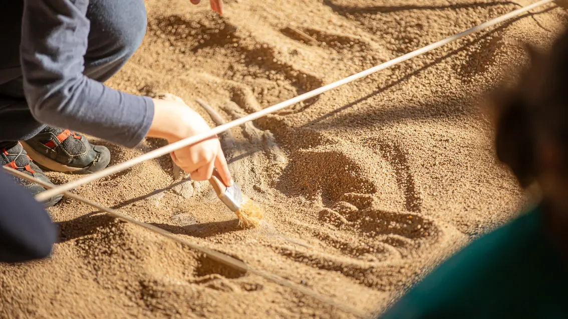 Paléopolis, la colline aux dinosaures_Gannat