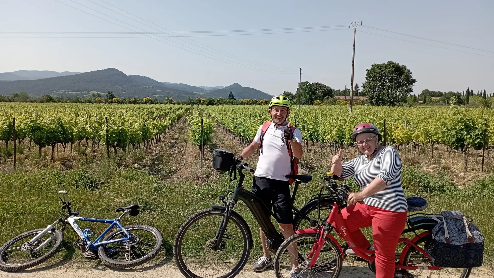 Balades vignes à vélo