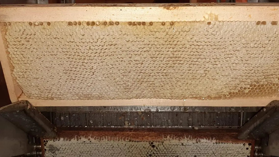 Les Ruchers des Archers