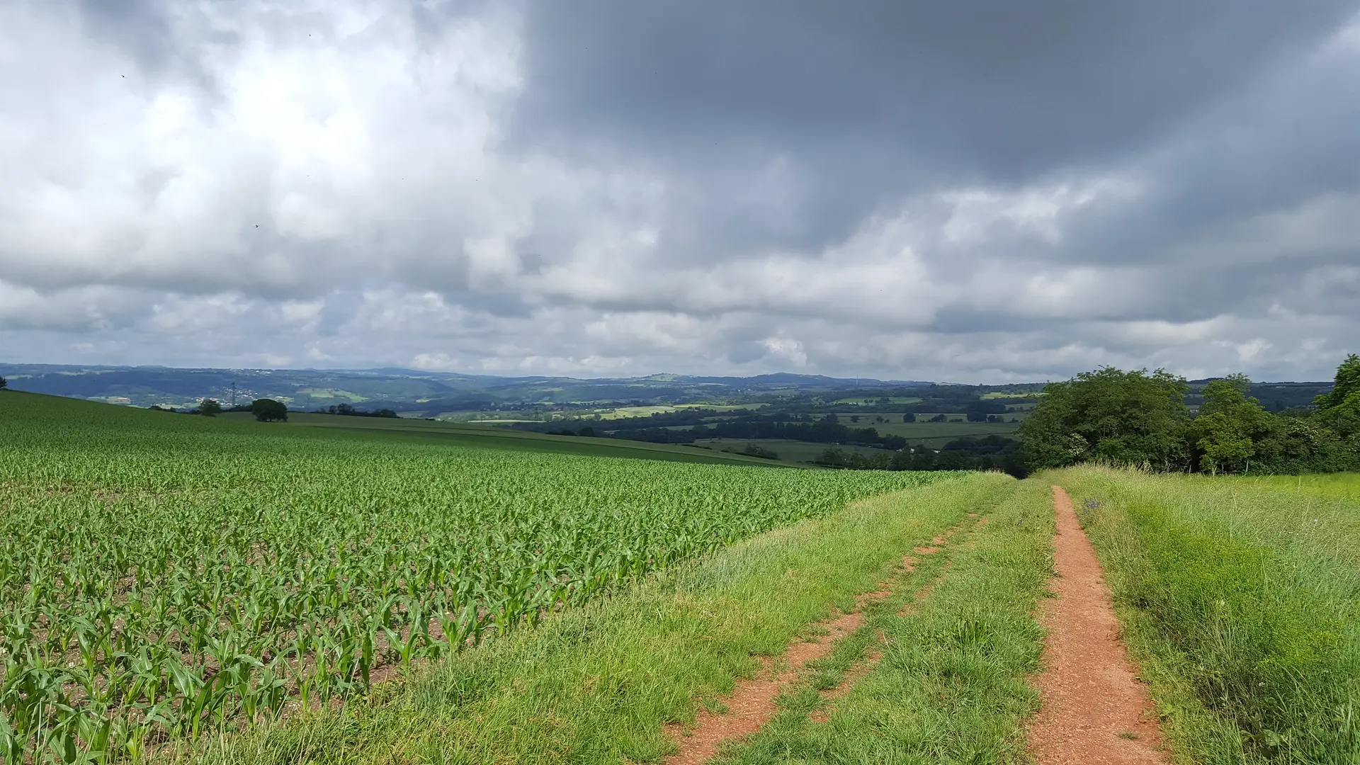 Panorama sur la randonnée Entre Limagne et Combrailles