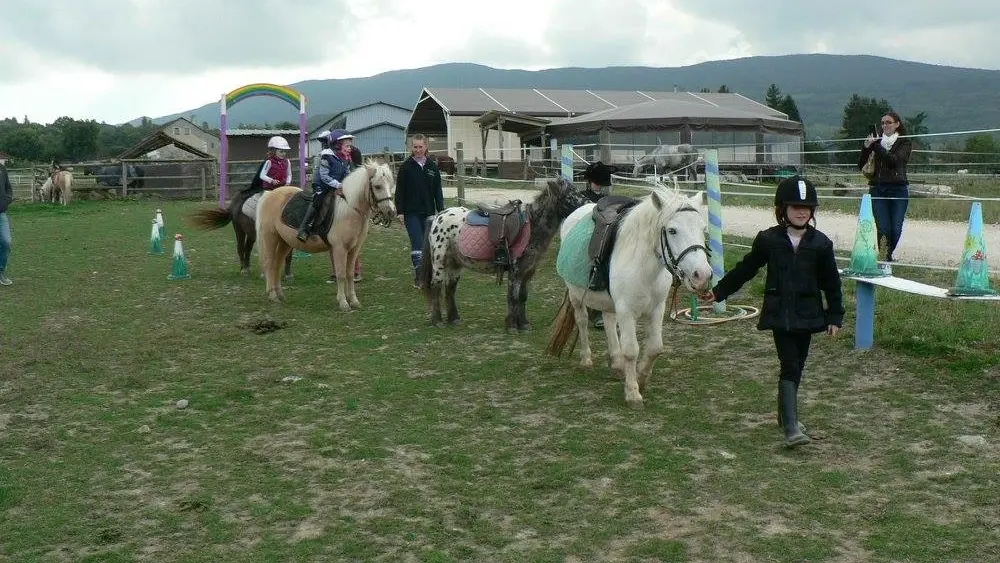 Pony park