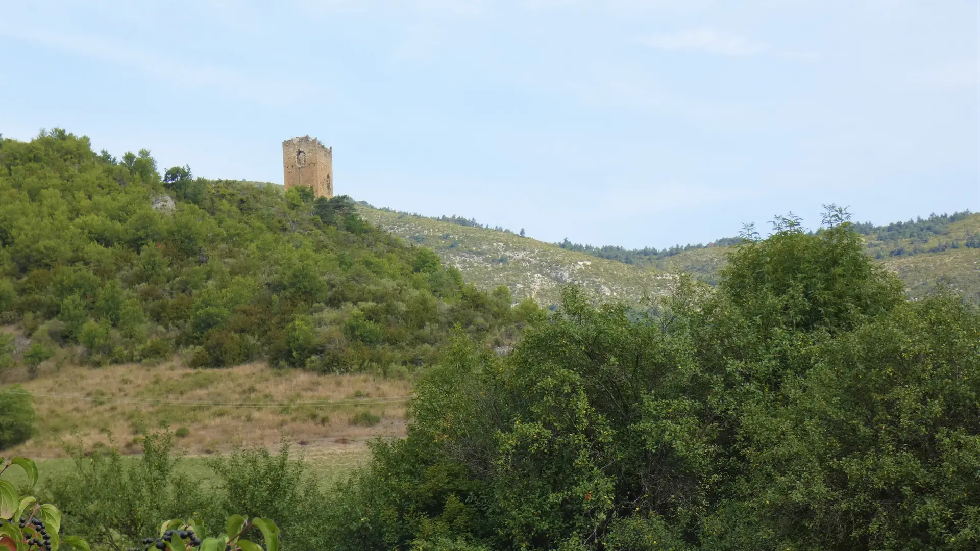 La Tour Médiévale