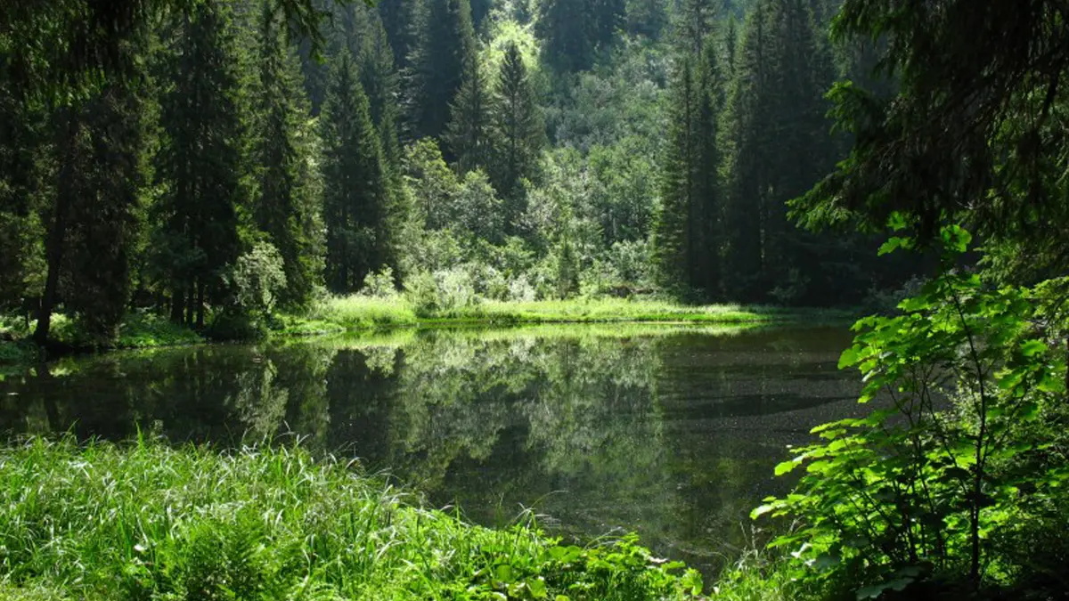Lac de Petetoz