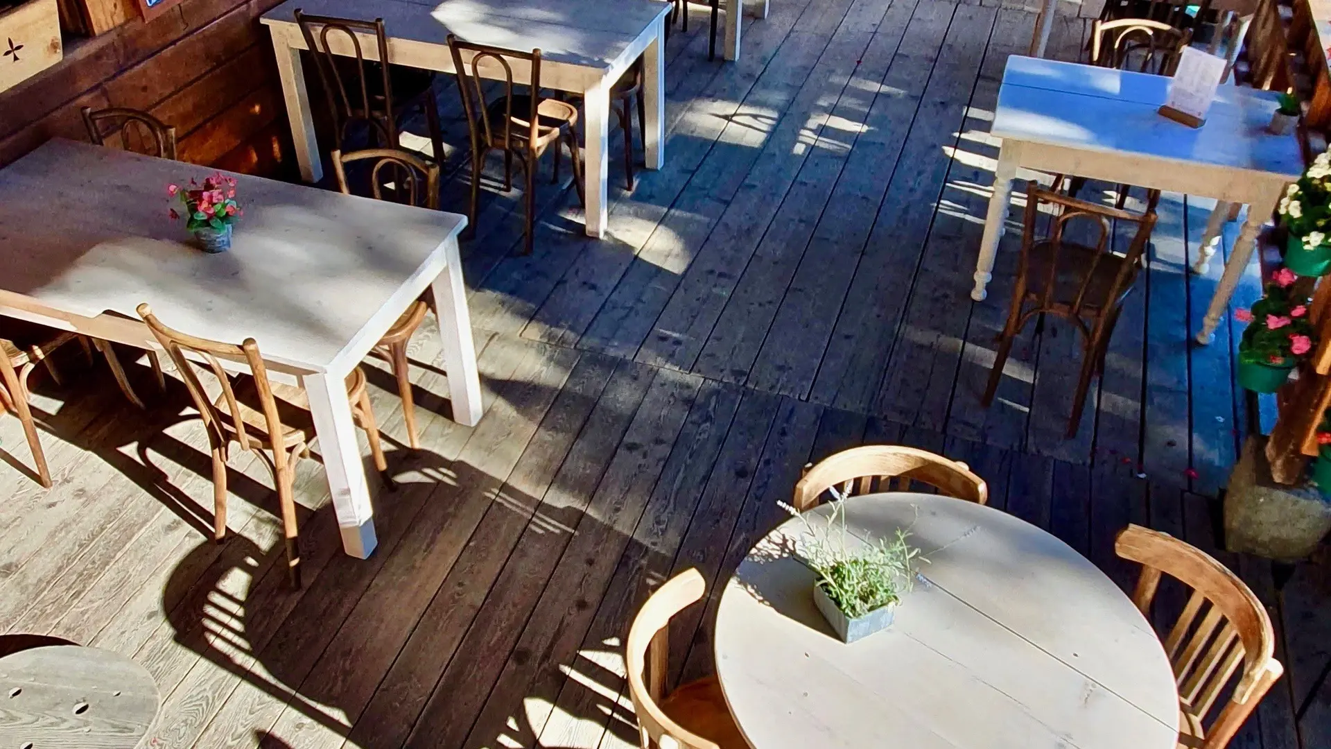 La terrasse ombragée
