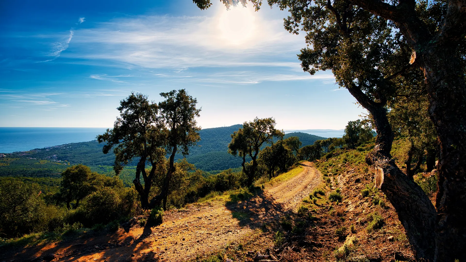 vallon de la Gaillarde