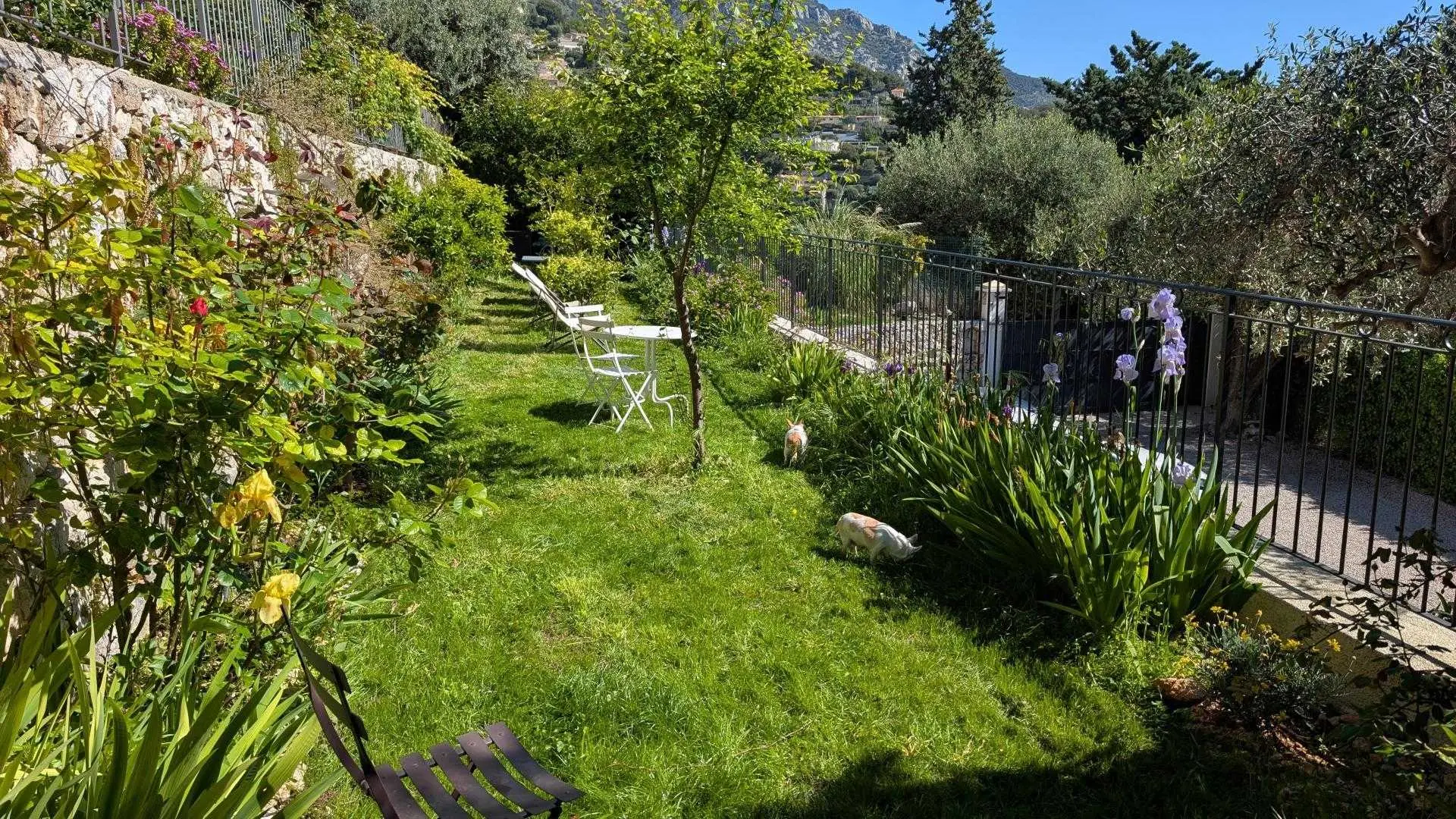 L'Amandier-Jardin à partager-Beausoleil-Alpes-Maritimes