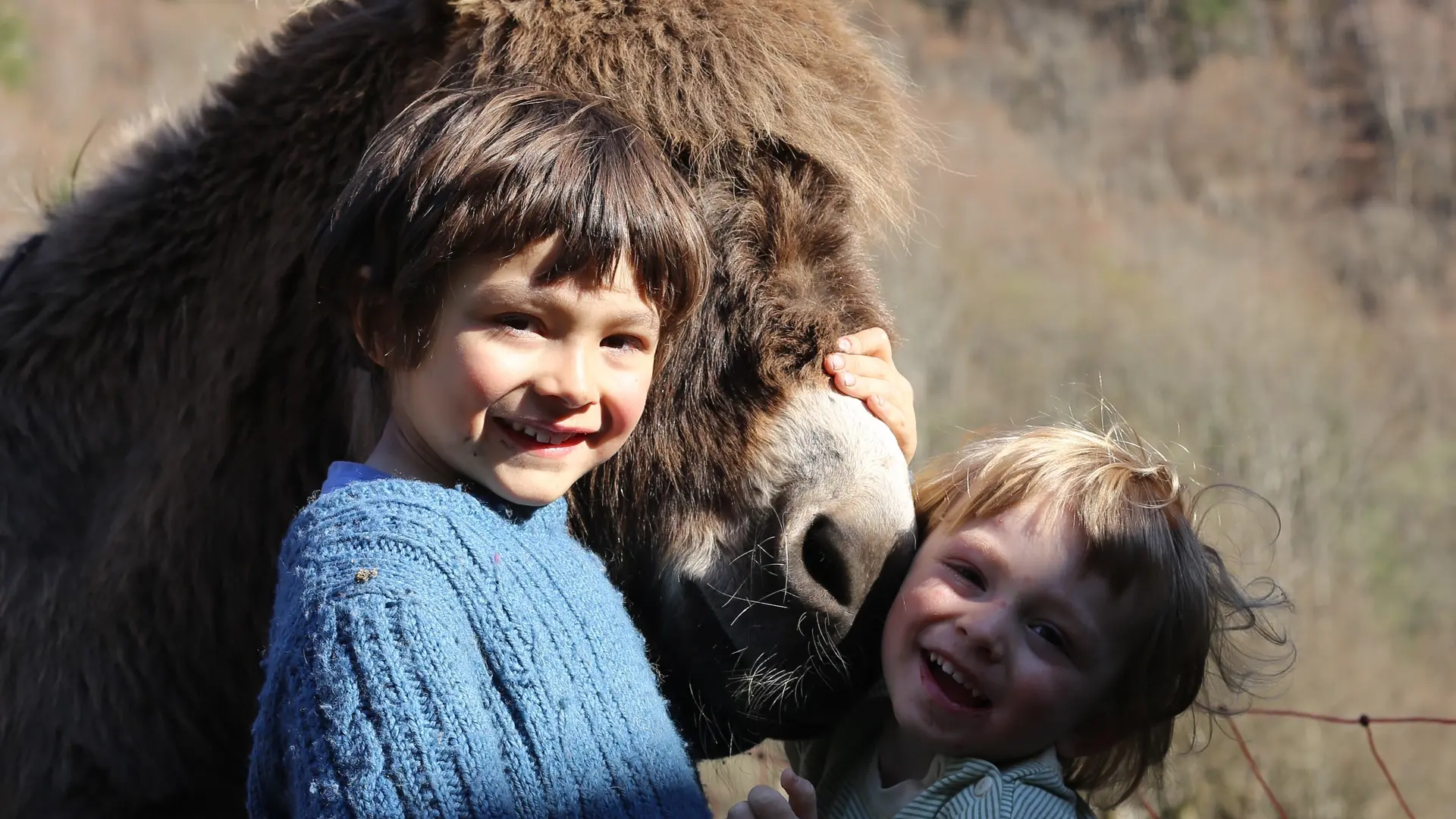 Rencontre avec les animaux de la ferme