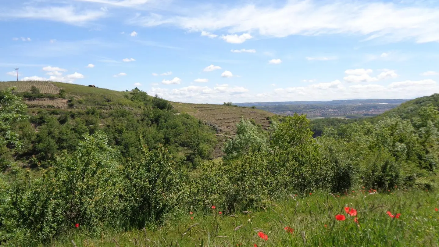 Des belles promenades en partance du gîte, avec vue sur la Vallée du Rhône.