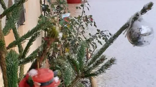 Noël au Charmay sous la neige !