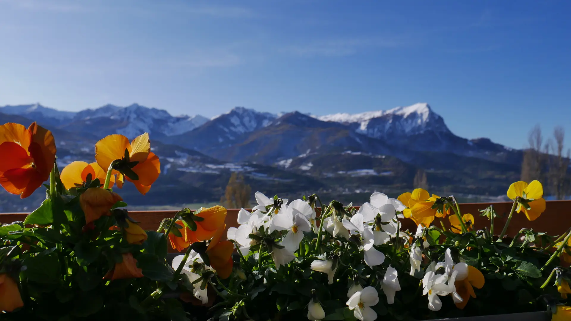 La Ferme du Riou Clar Serre-Ponçon