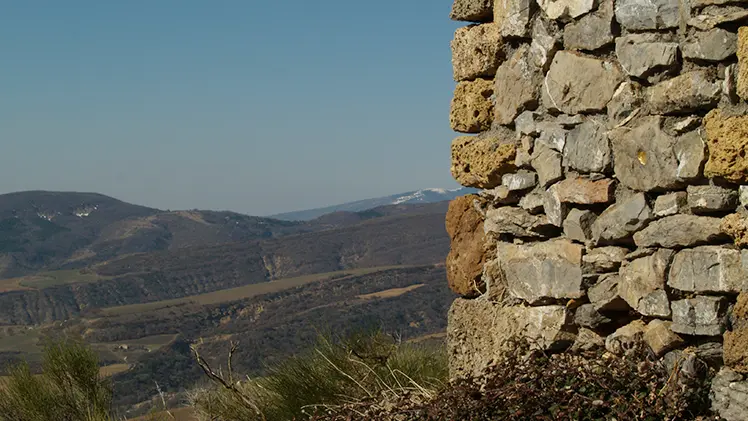 herman de vries, point, 2009, Collection Musée Gassendi