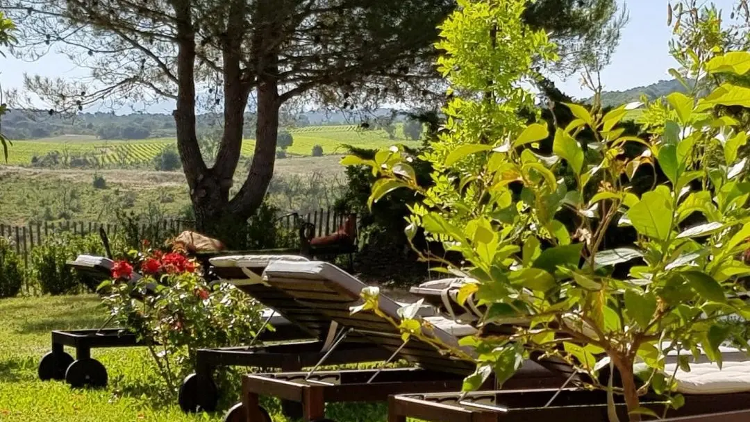 La vue de la terrasse avec son environnement vierge