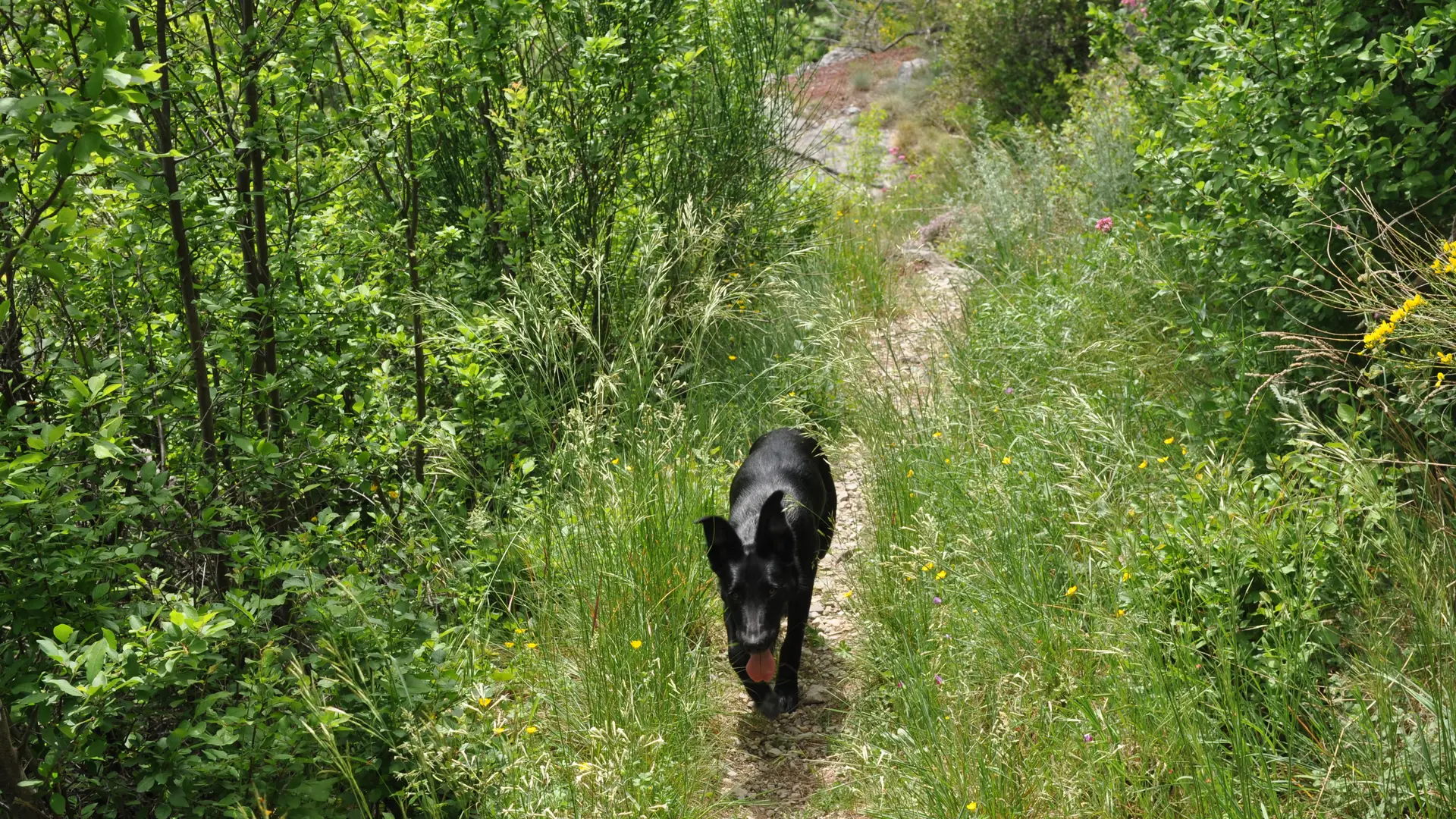 sentier du soleil la brigue