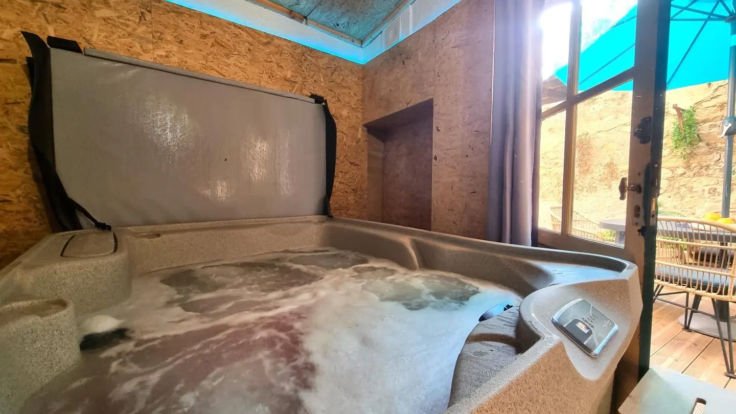 Espace bien-être avec jacuzzi.