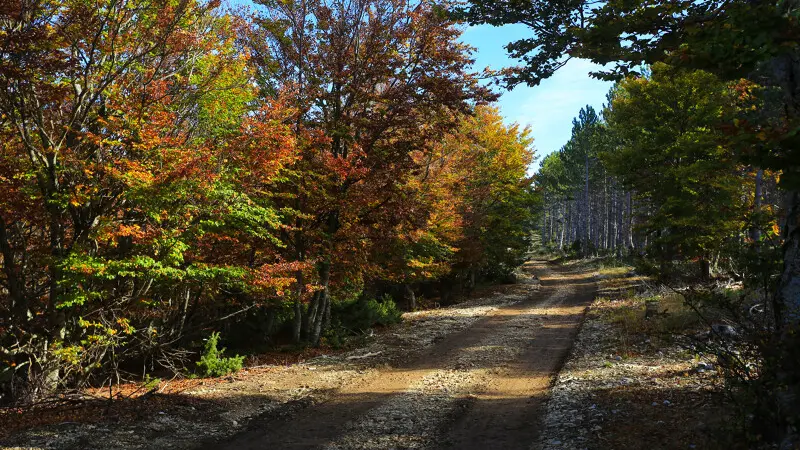 Gravel 34 la cabane du Mouflon - Ventoux