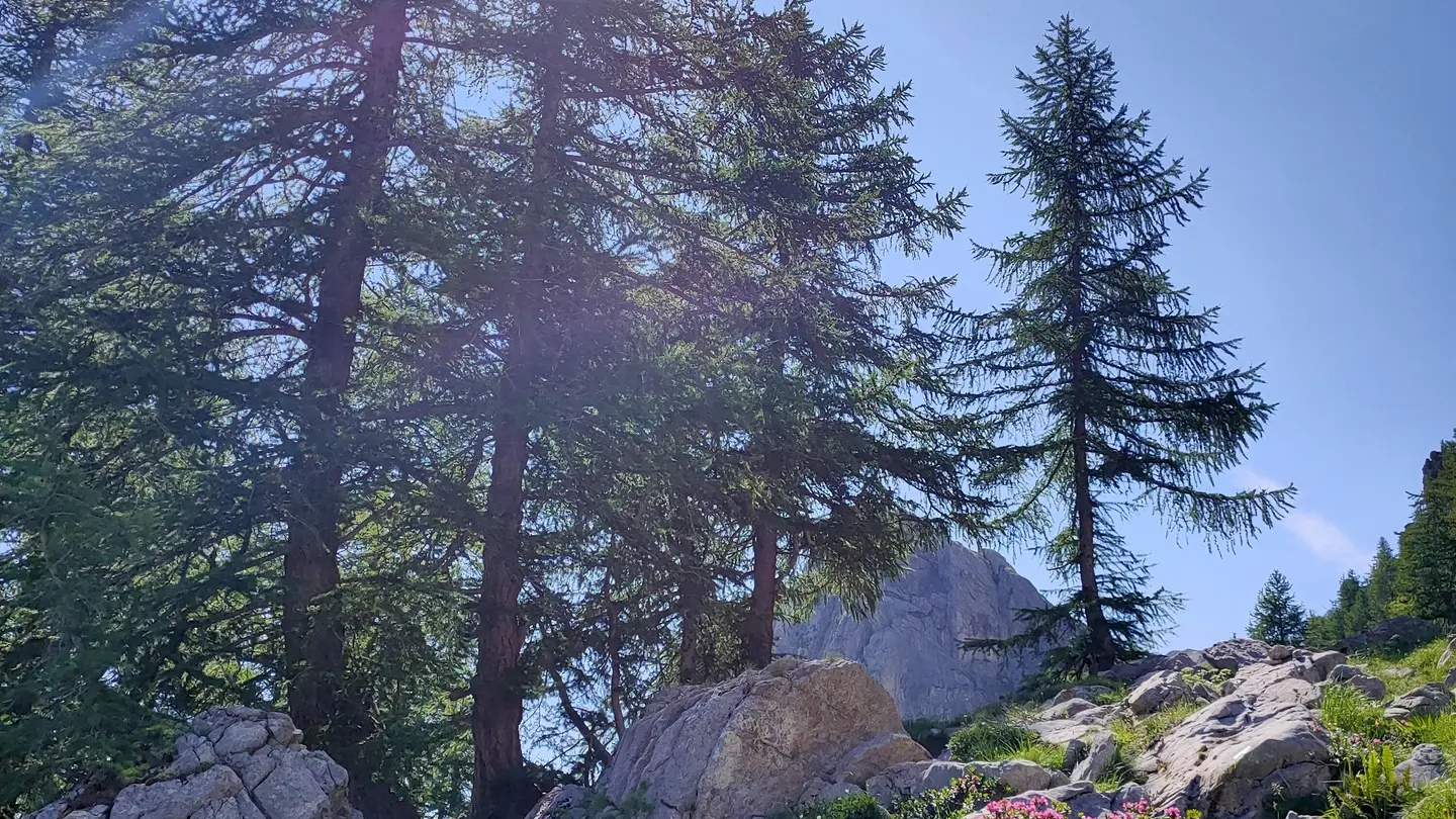 Montée à la Croix d'Aquila