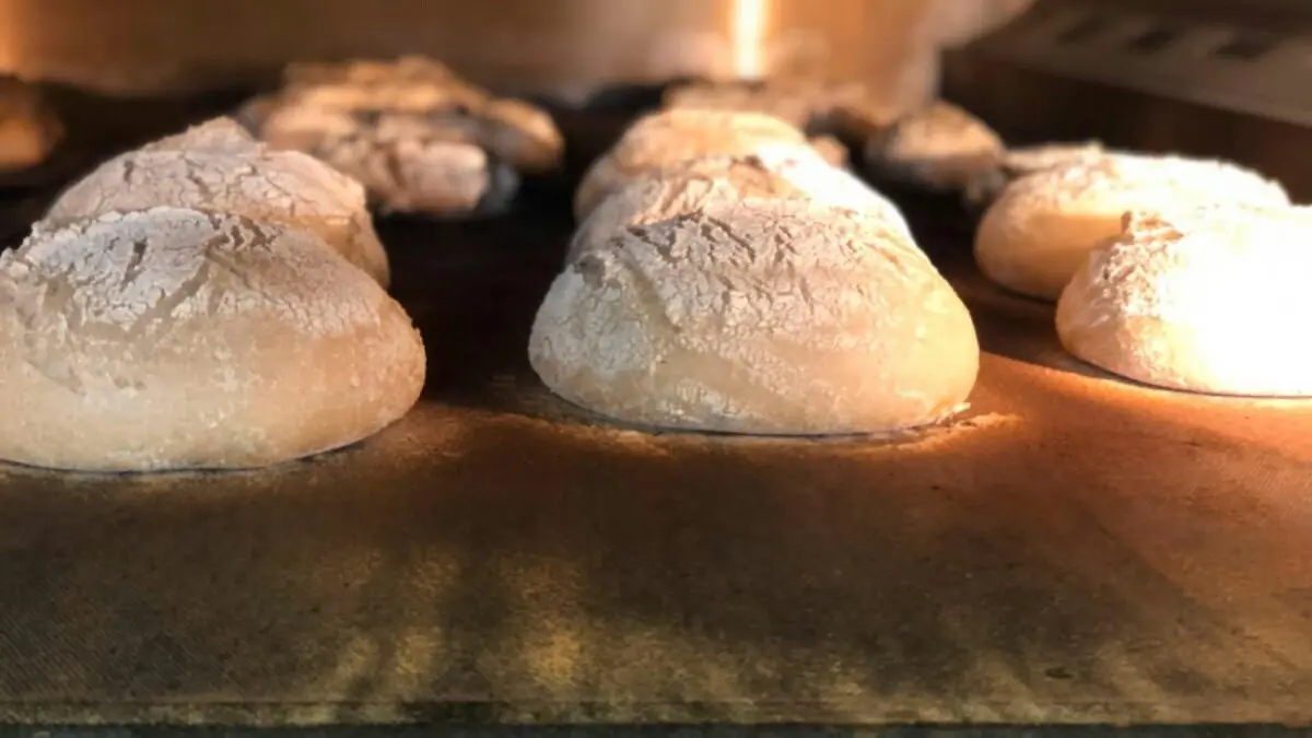 miches de campagne dans le four