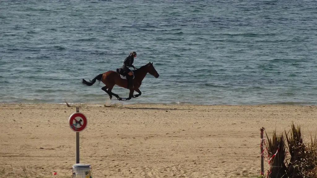 A cheval le long de la mer