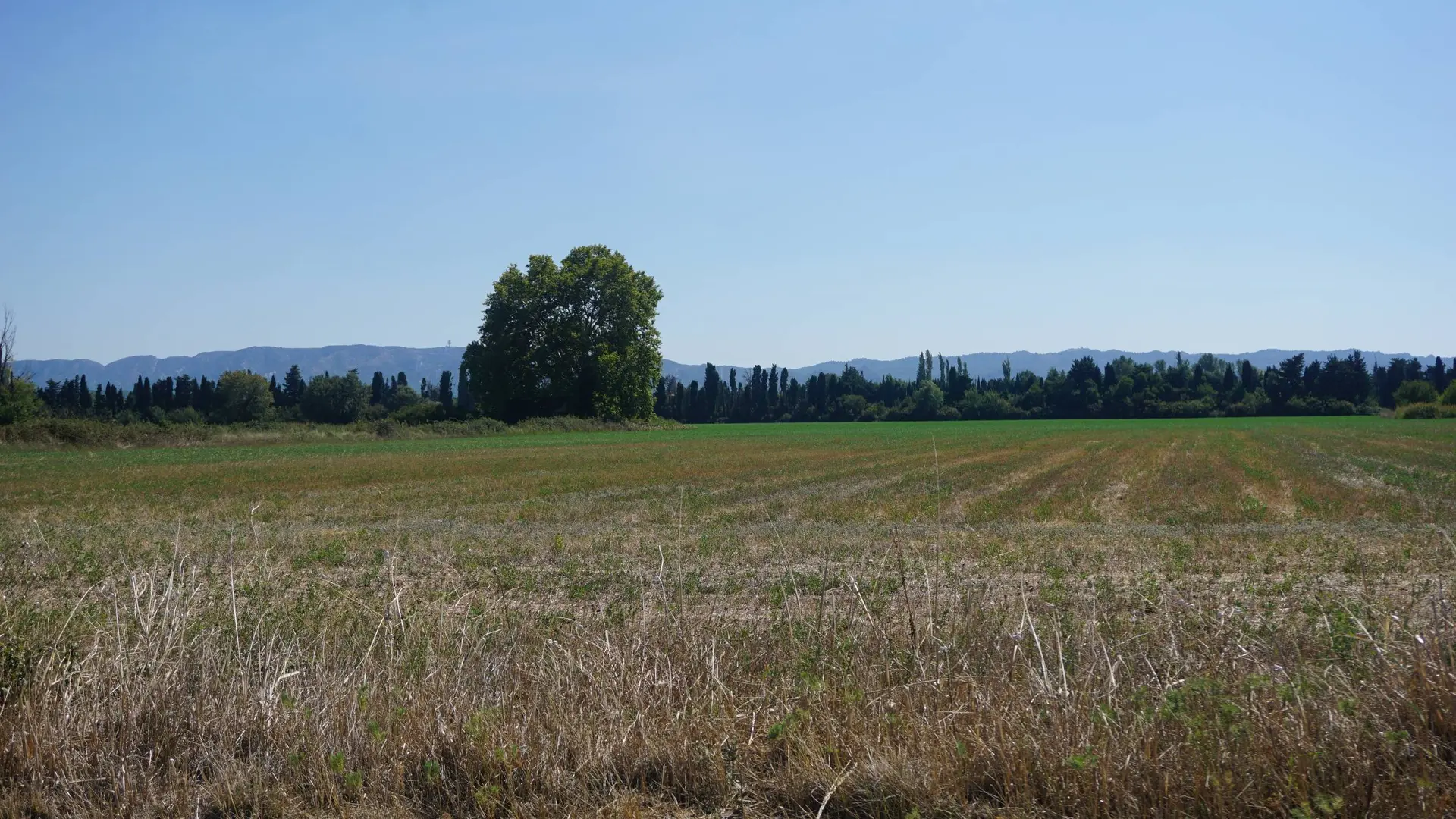 Vue sur le massif des Alpilles depuis la plaine agricole