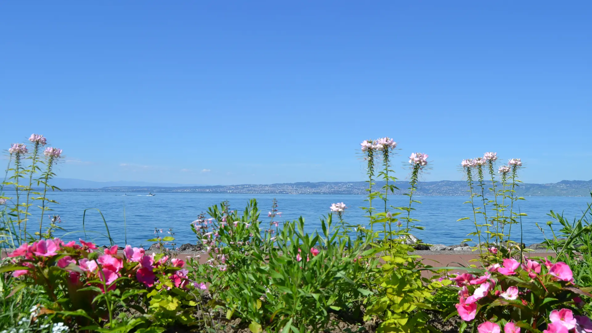 Evian
