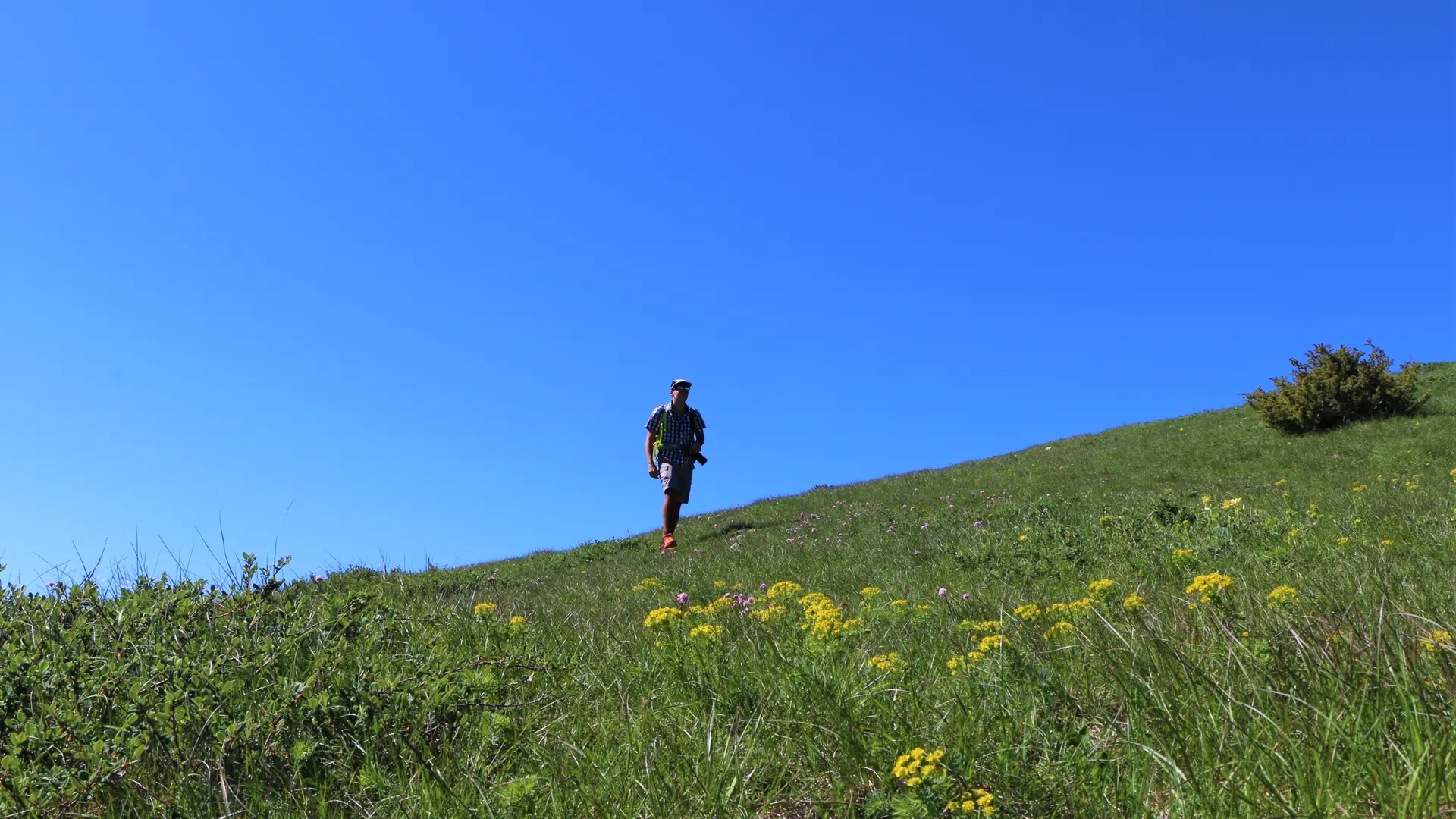 Les crêtes de Luzet