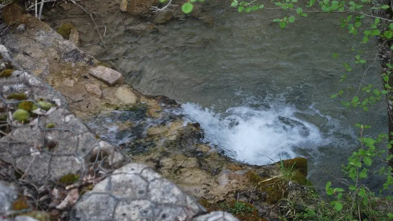 La source de Saint-Lagier