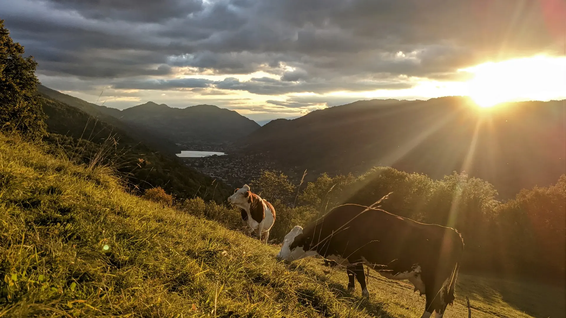 Ferme de la Grangette_La Chapelle-du-Bard