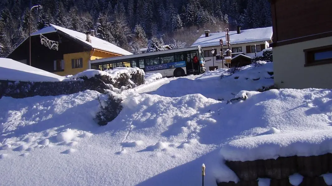 A 30m du chalet la navette vous emmènera à travers la station : centre, remontées mécaniques, centre de loisirs, site de Notre dame de la Gorge etc....