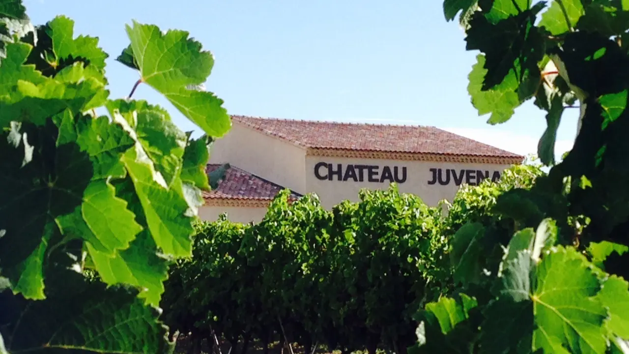 Château Juvenal