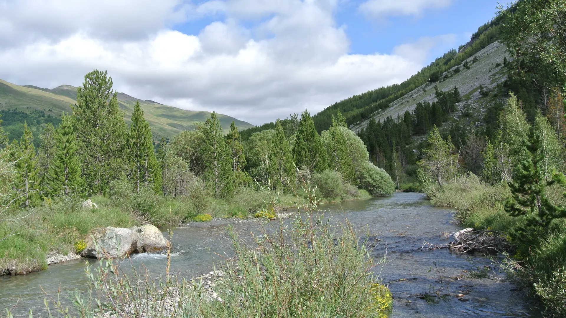 Rivière sur le Marais du Bourget