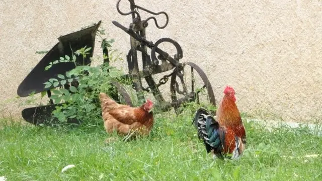 Camping à la ferme Les Pommiers