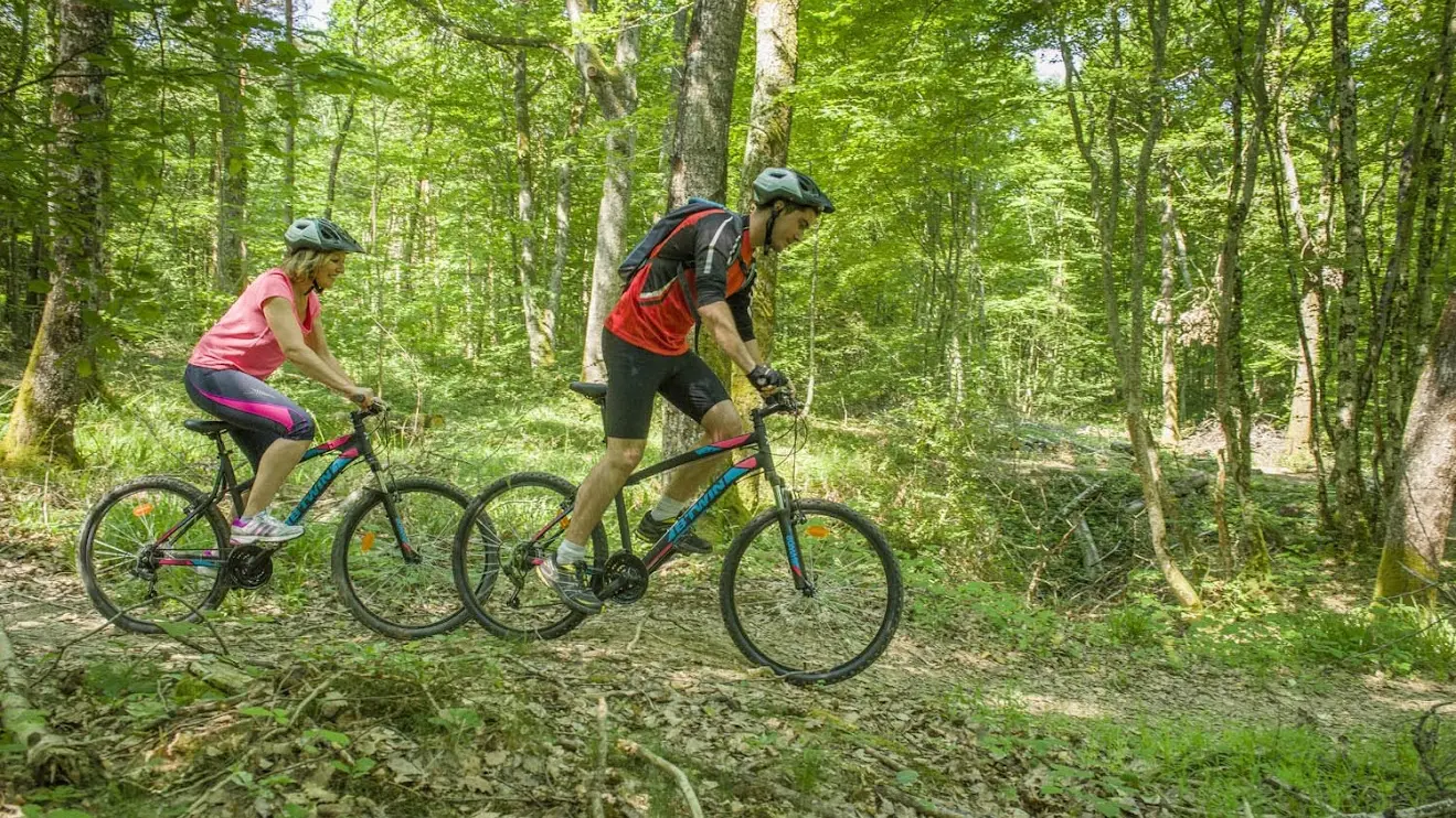 VTT en forêt