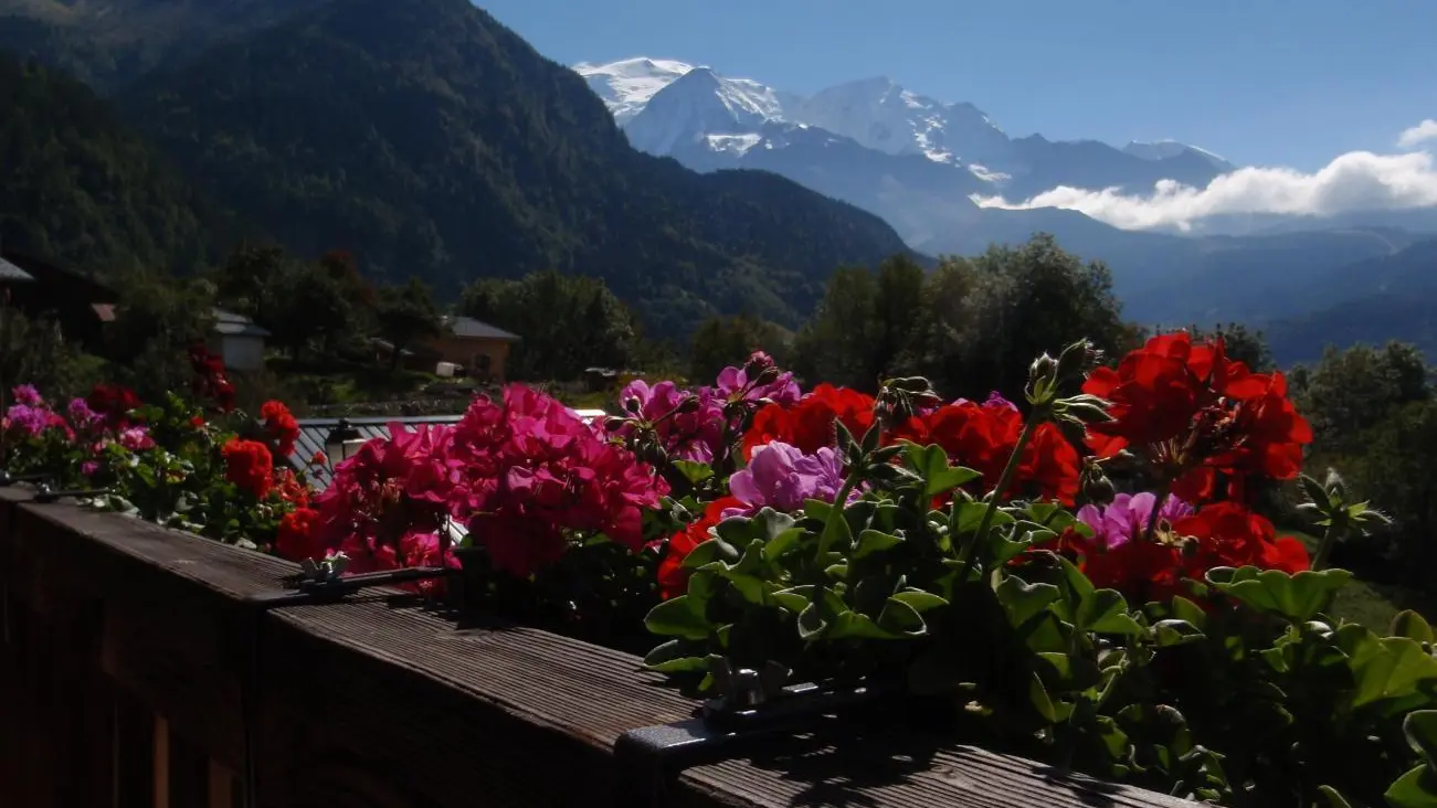 Vue sur le Mont Blanc