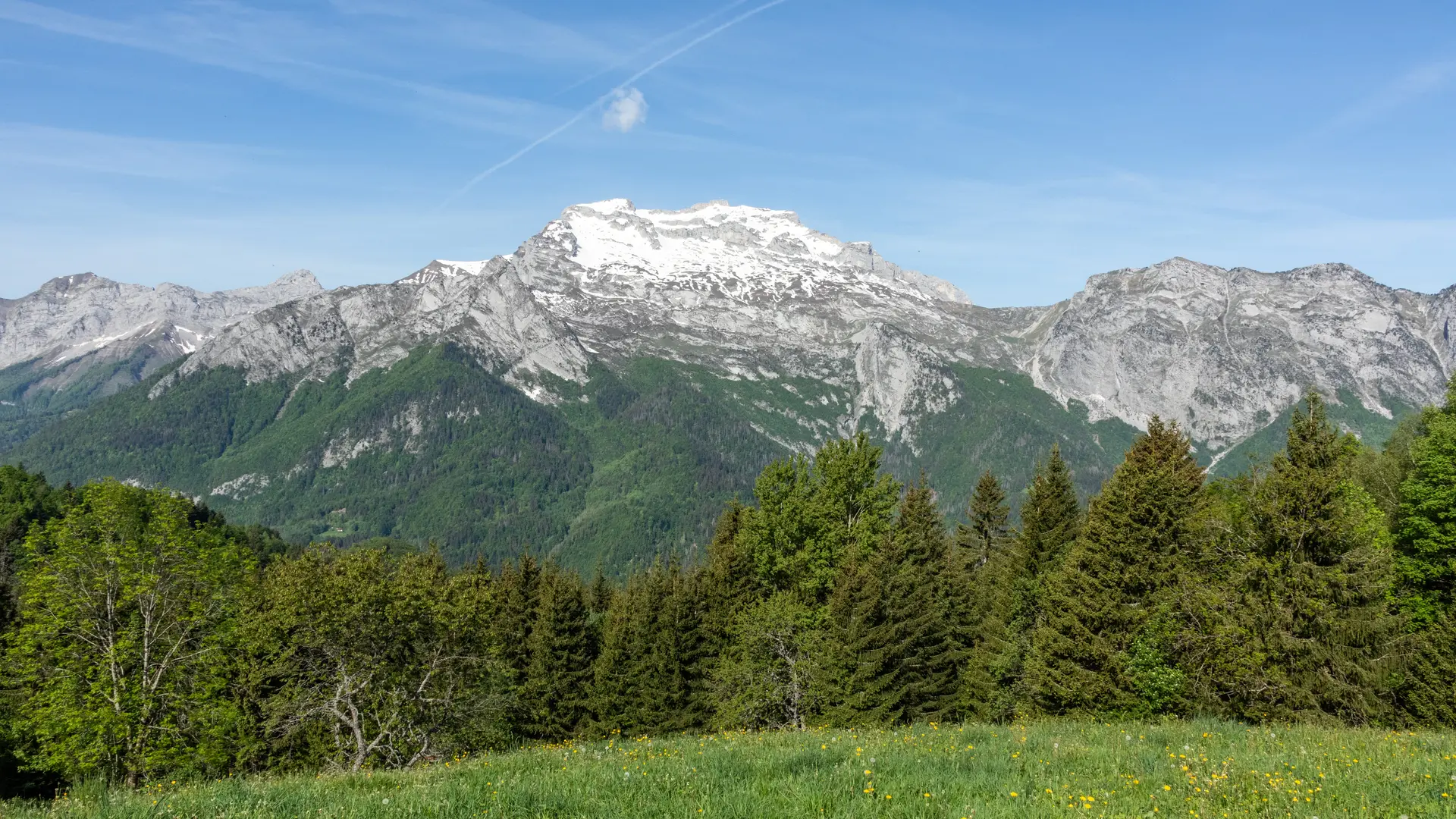 panorama