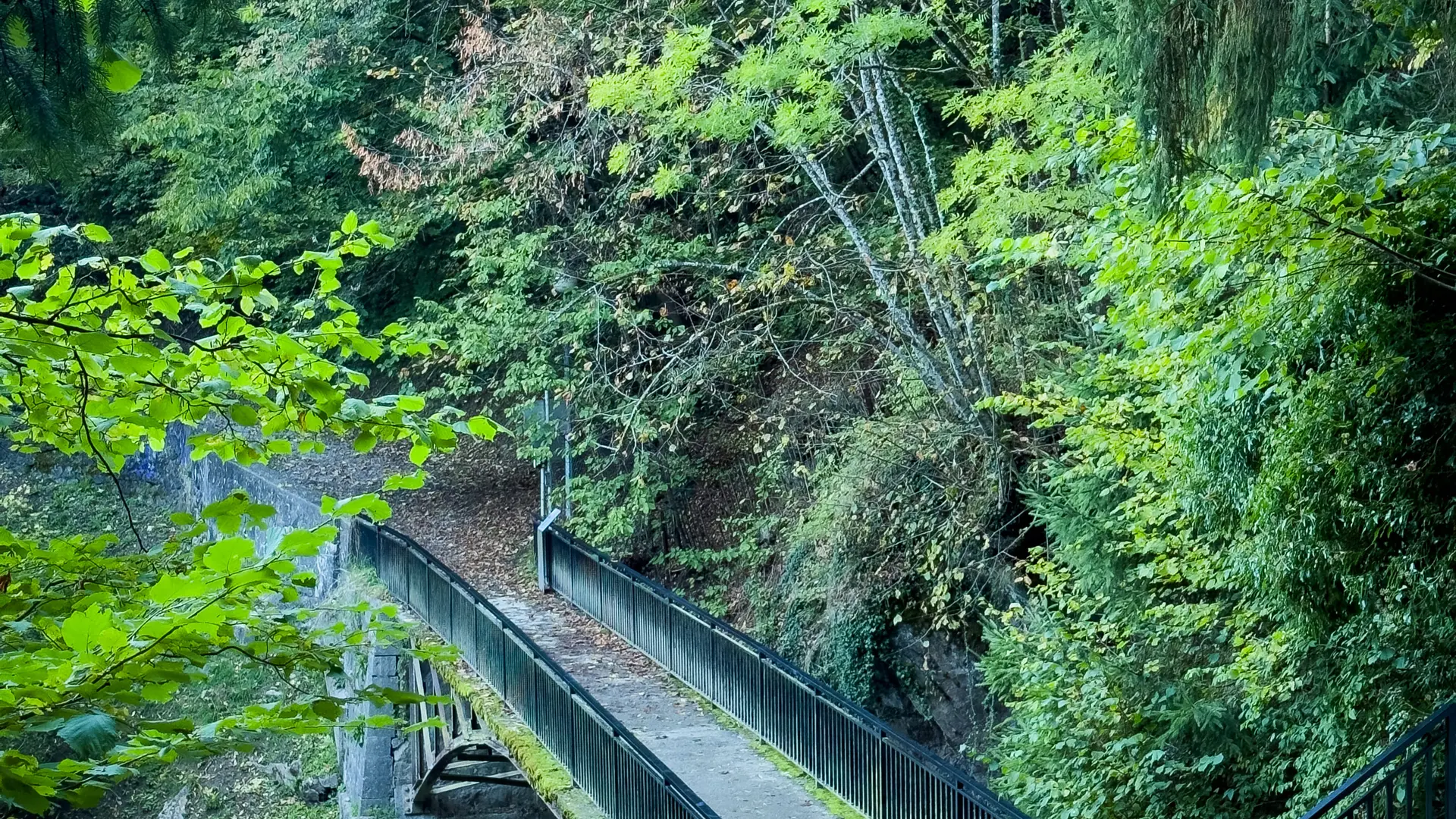 Pont vu depuis la rive gauche