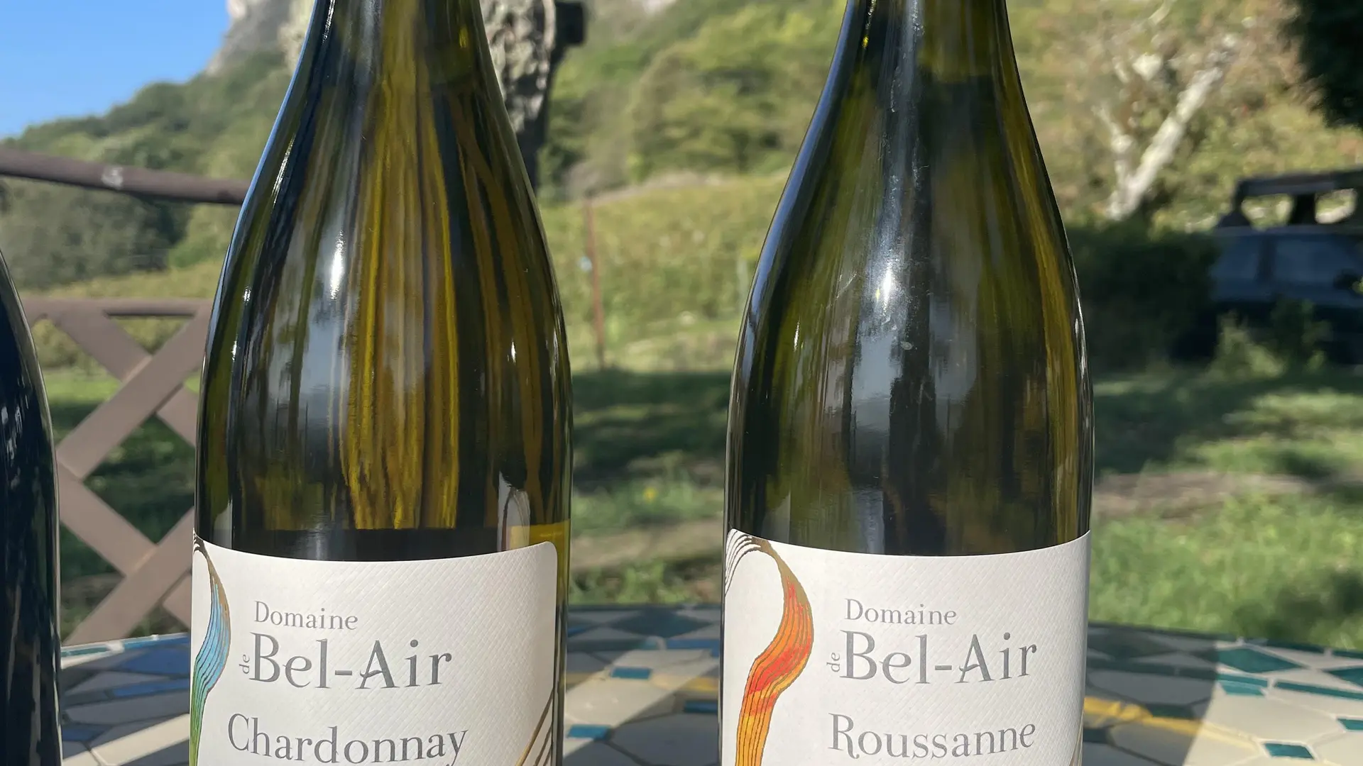 Vins de la production