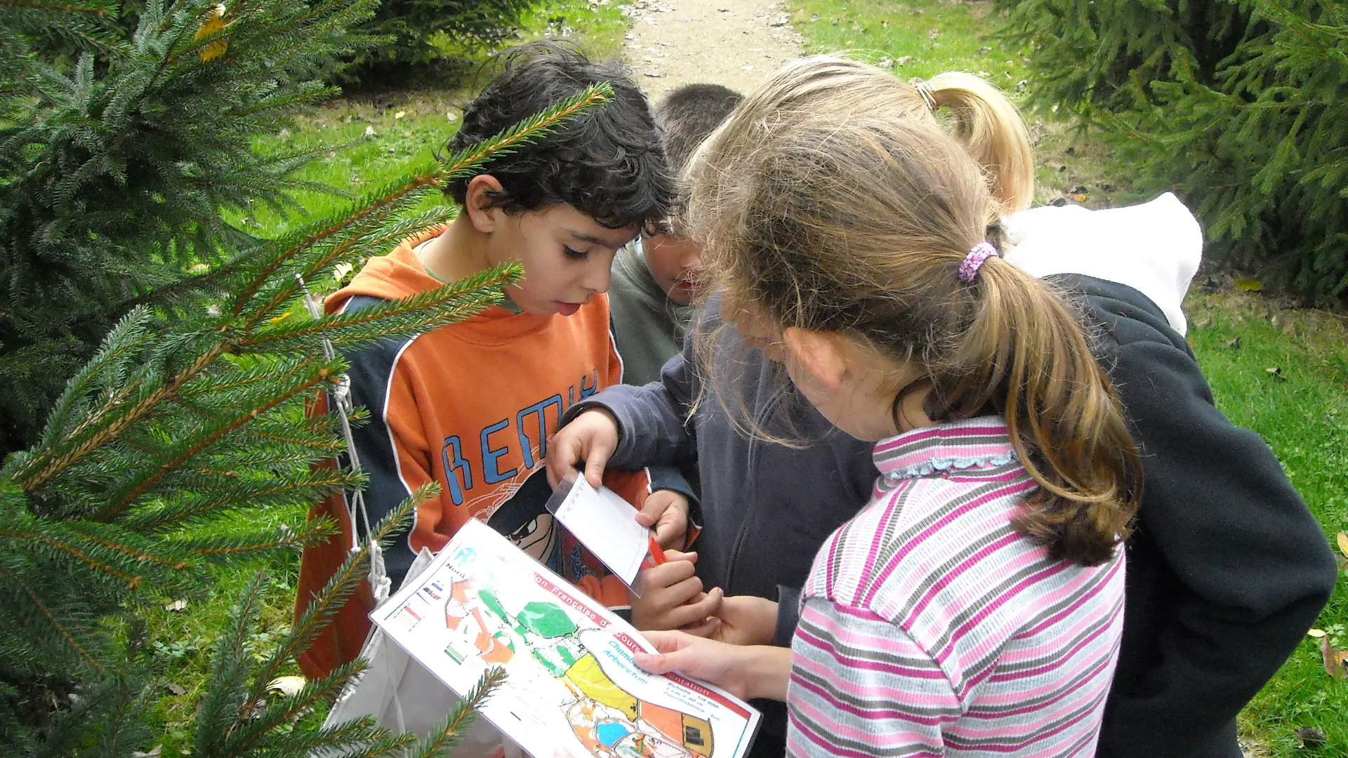 Chasse au trésor