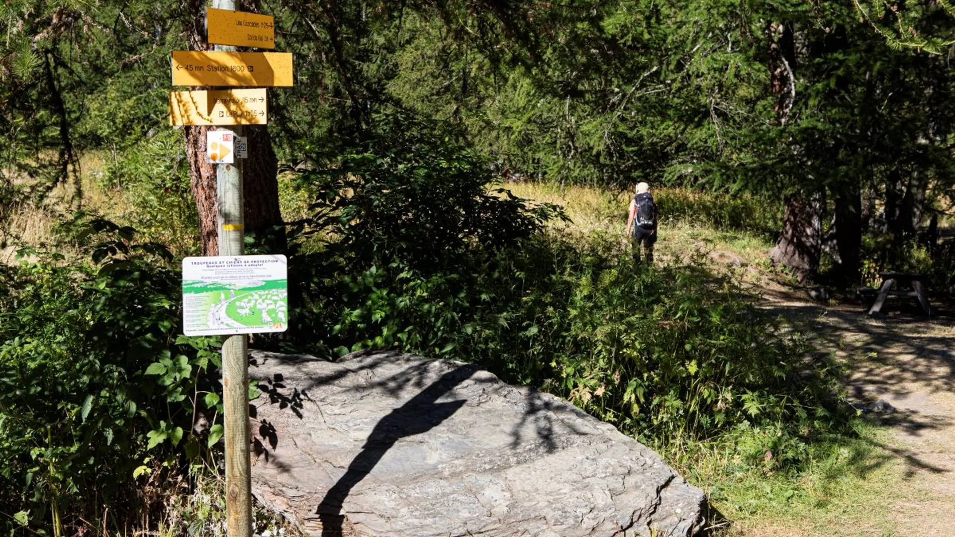 Vers la cabane des grands plans