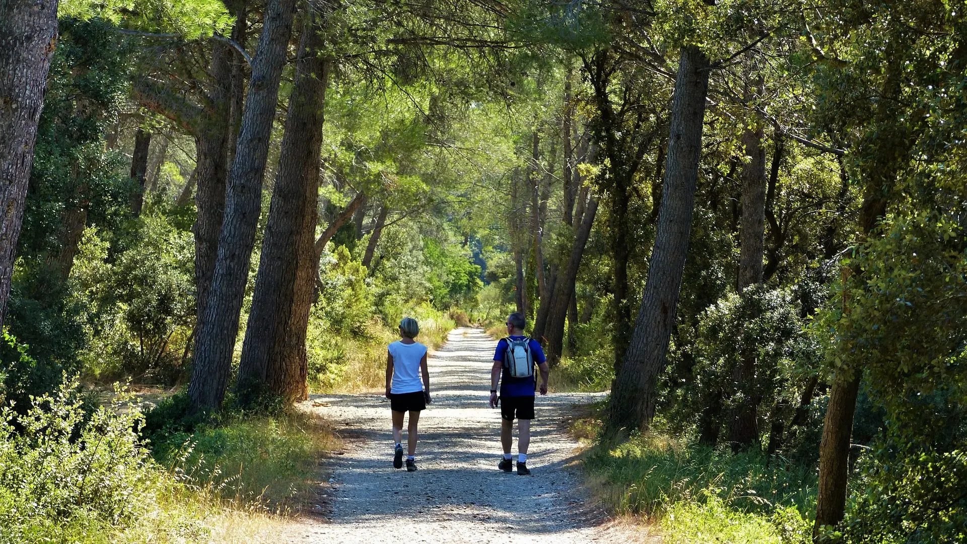 Ancienne ligne ferroviaire Salon-Arles