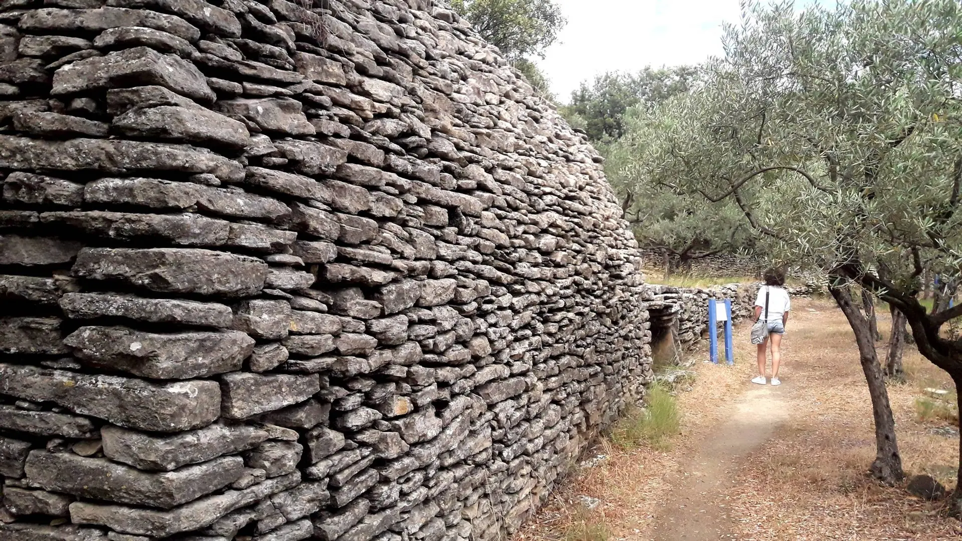 Goult, sentier du Conservatoire des terrasses de cultures