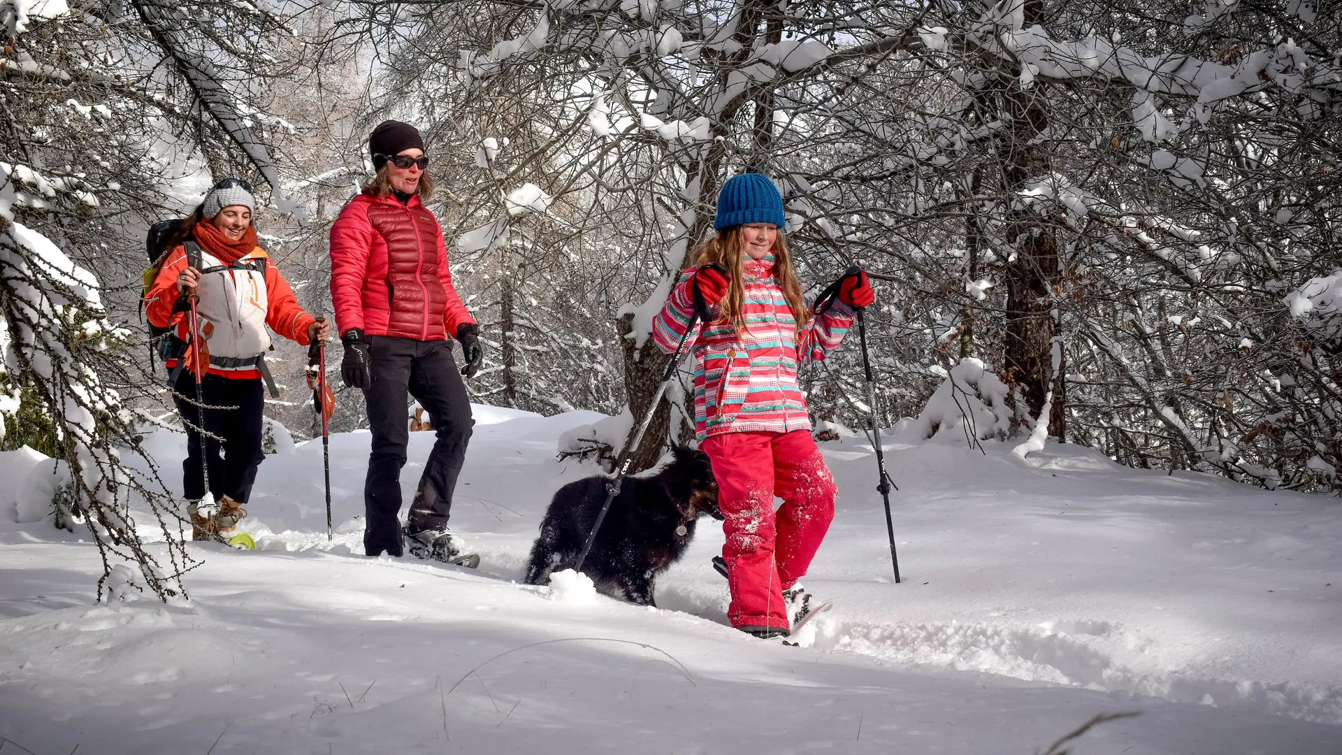 Randonnée raquettes à Chaillol