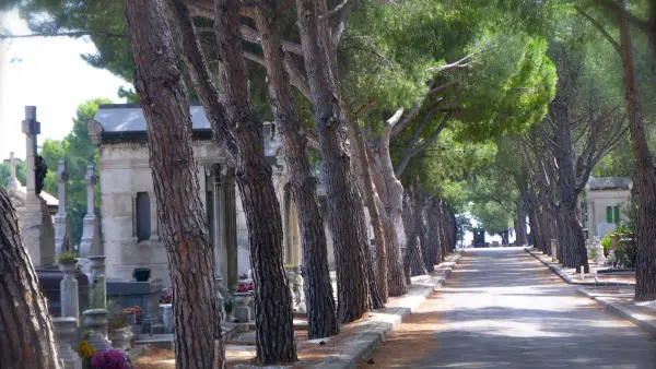 Le Cimetière Saint Pierre