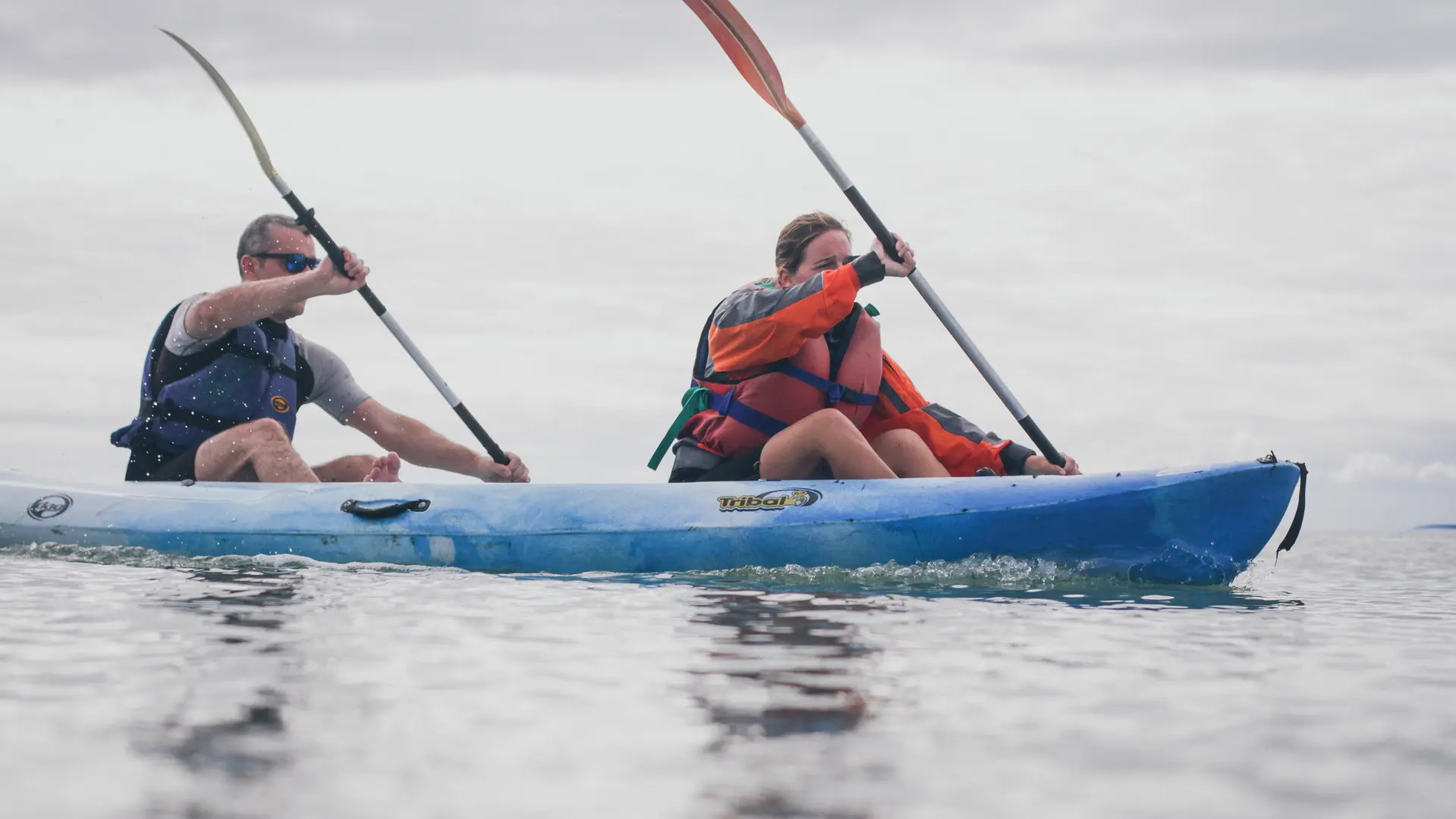 Balade dans les marais en canoë par Canoë Salé