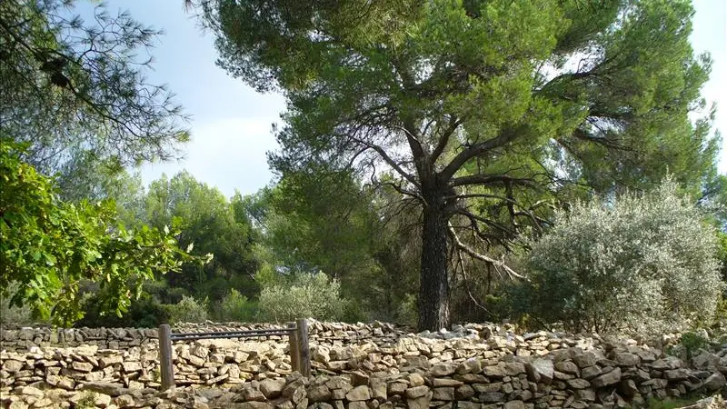 Agrèset murs de pierre sèche