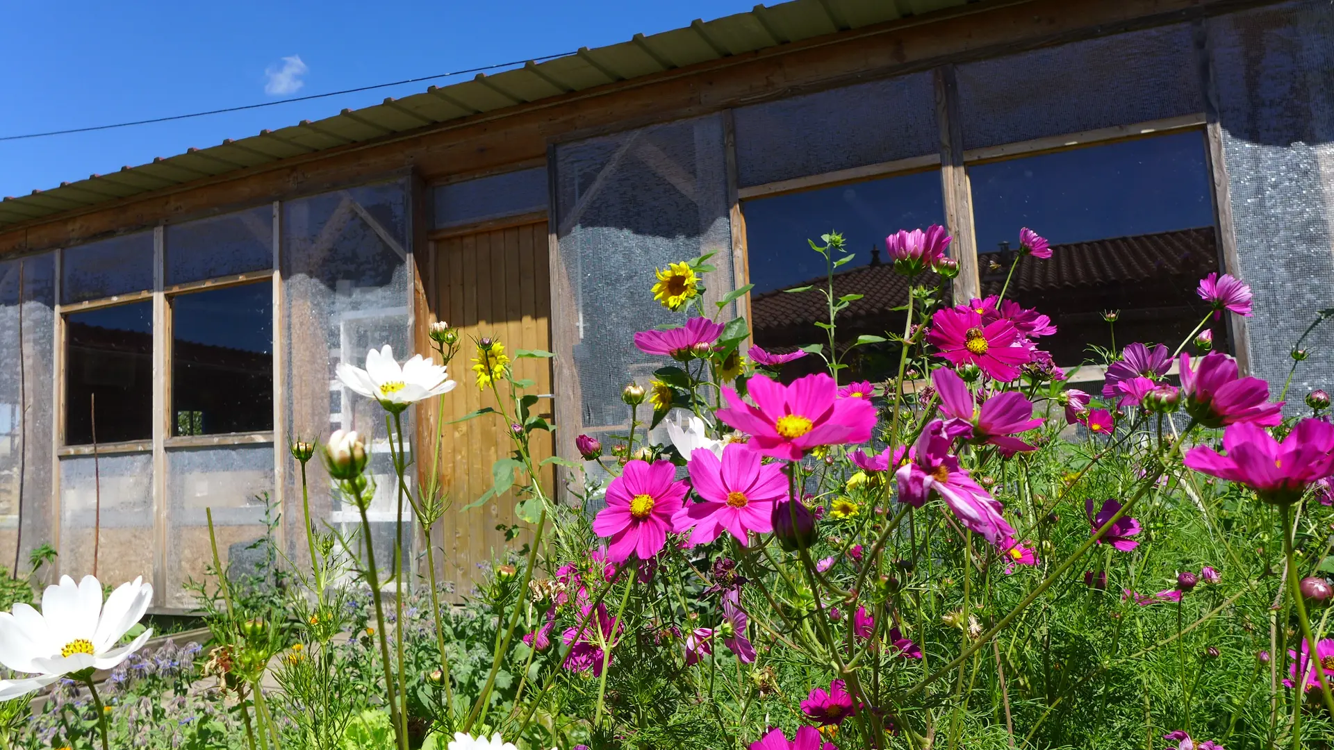 OASIS Cabane de l'apprenti Jardinier
