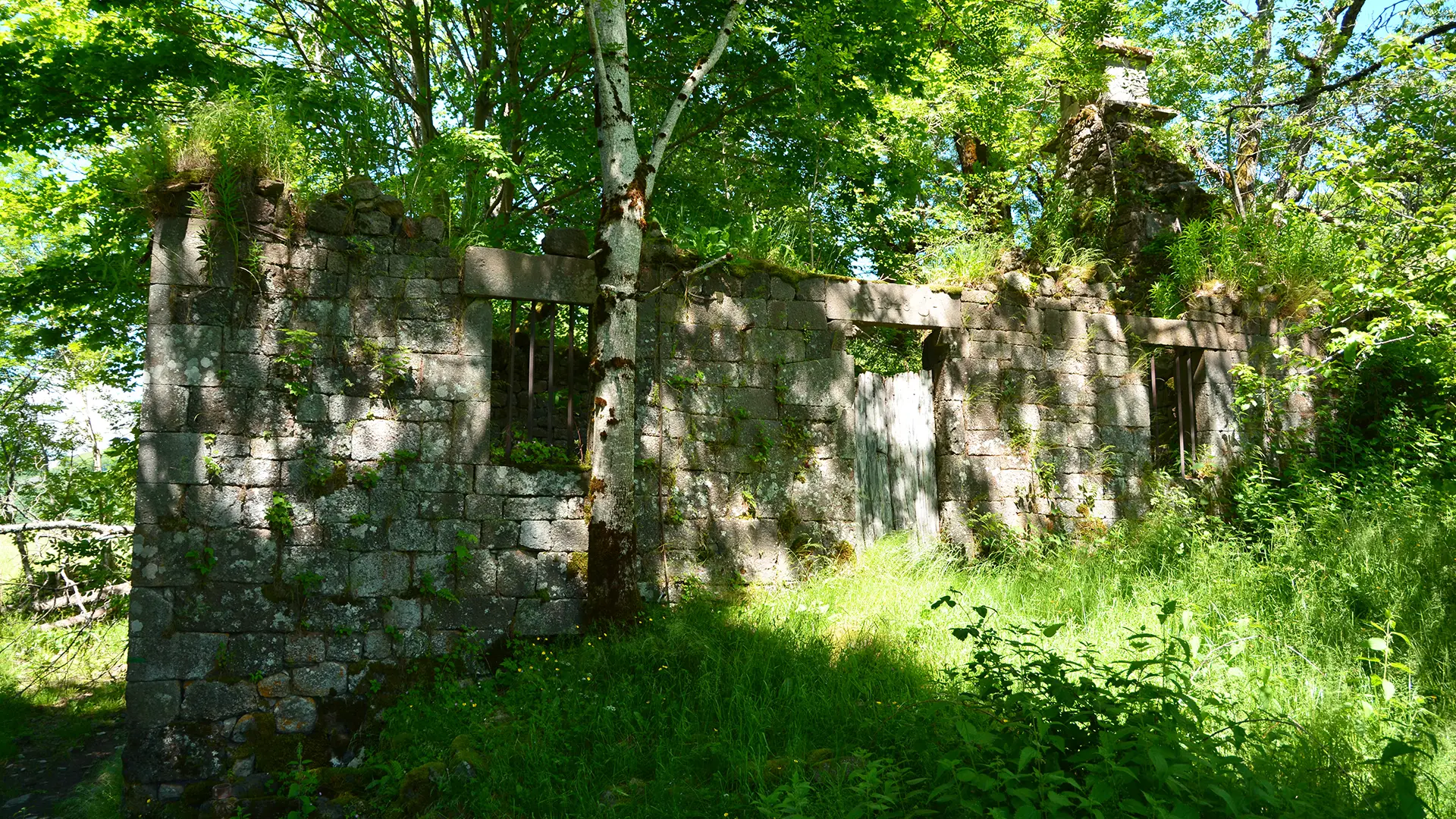 Ruine de la ferme de Bos