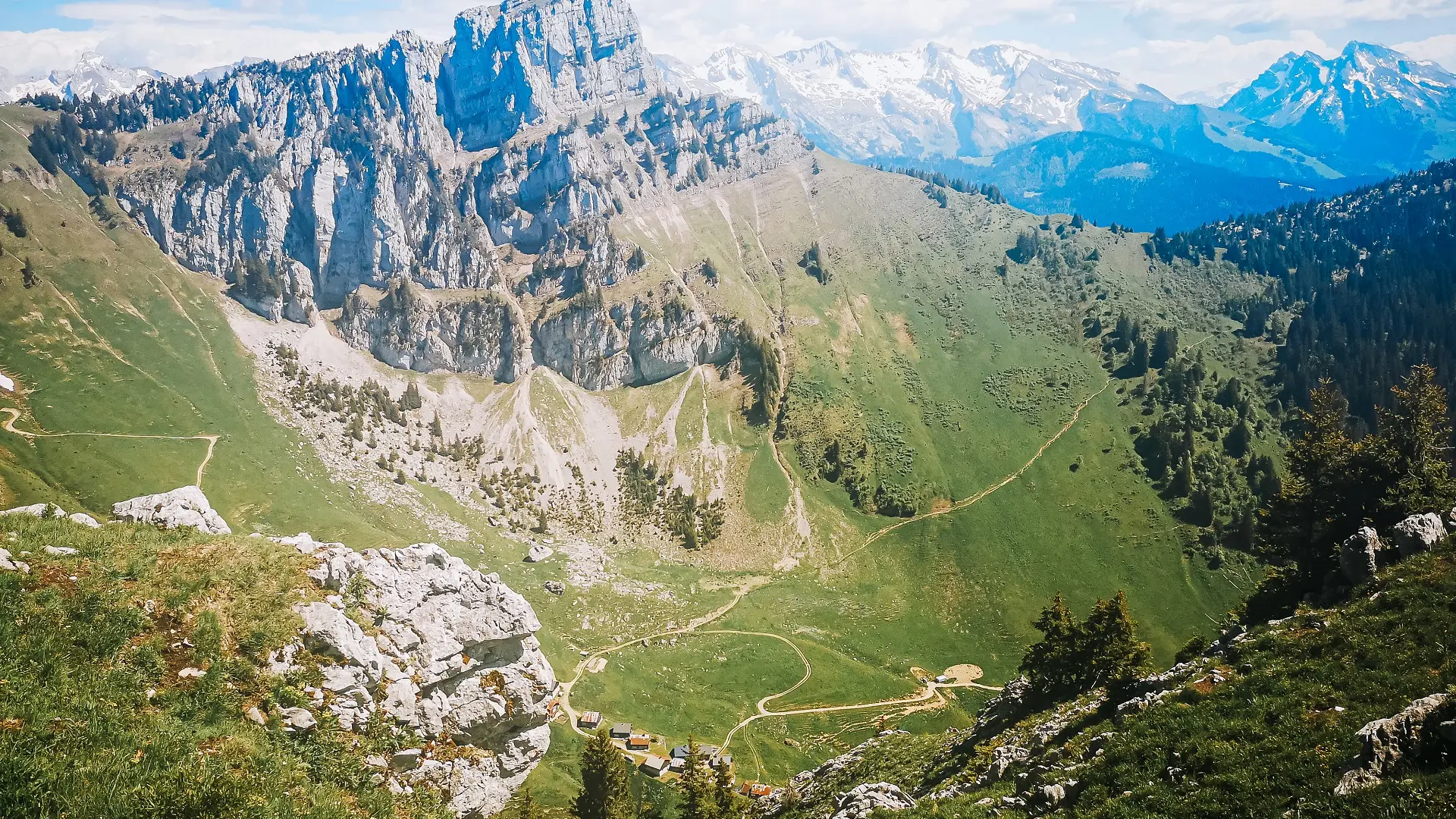 Vue