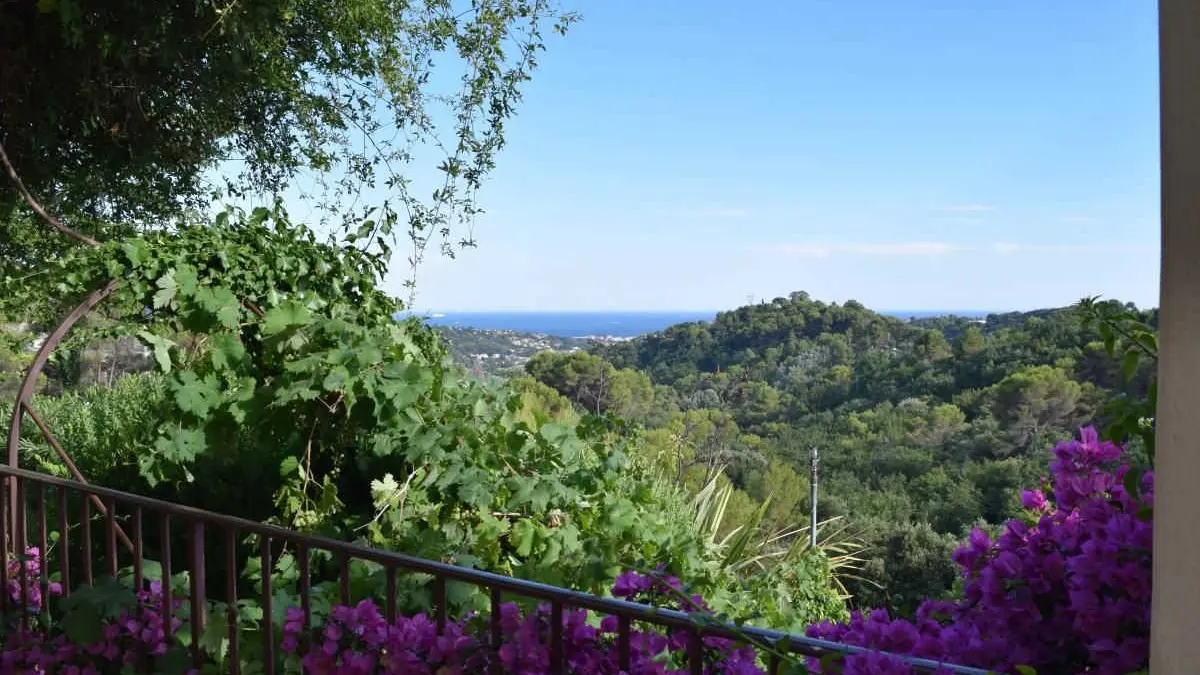 Vue Gîte Jacaranda de St Paul de Vence - Gîtes de France Alpes-Maritimes